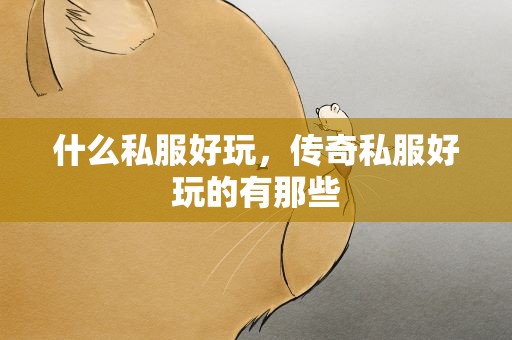 什么私服好玩，传奇私服好玩的有那些