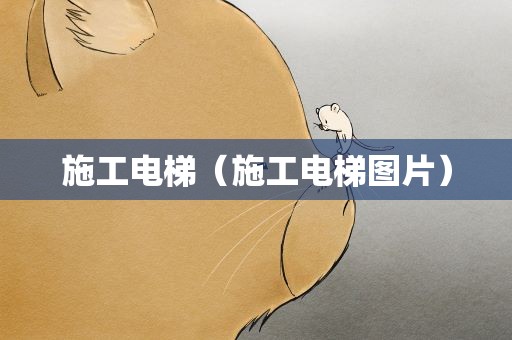 施工电梯（施工电梯图片）