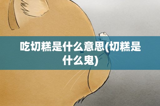 吃切糕是什么意思(切糕是什么鬼)