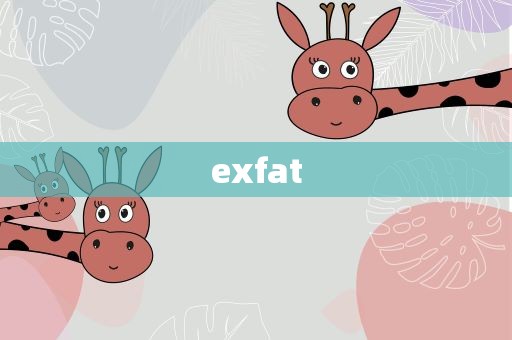 exfat