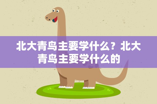 北大青鸟主要学什么？北大青鸟主要学什么的