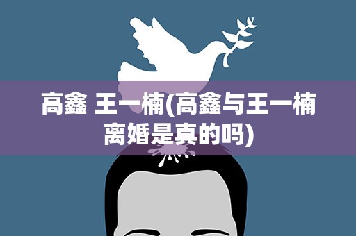 高鑫 王一楠(高鑫与王一楠离婚是真的吗)