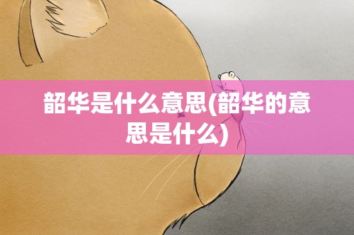 韶华是什么意思(韶华的意思是什么)