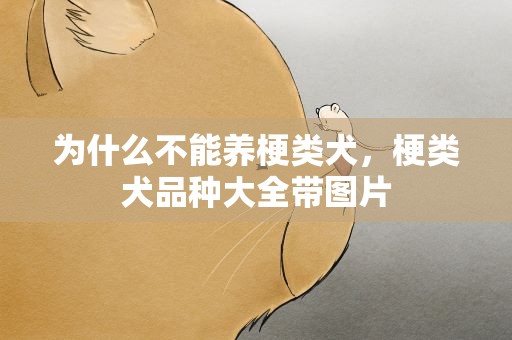 为什么不能养梗类犬，梗类犬品种大全带图片