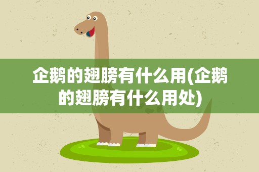 企鹅的翅膀有什么用(企鹅的翅膀有什么用处)
