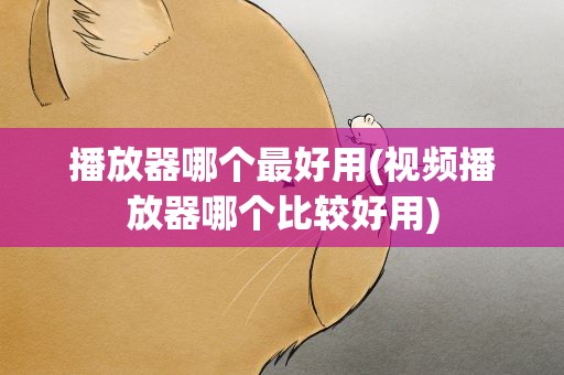 播放器哪个最好用(视频播放器哪个比较好用)