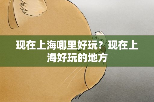 现在上海哪里好玩？现在上海好玩的地方