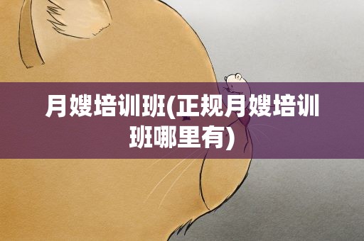 月嫂培训班(正规月嫂培训班哪里有)