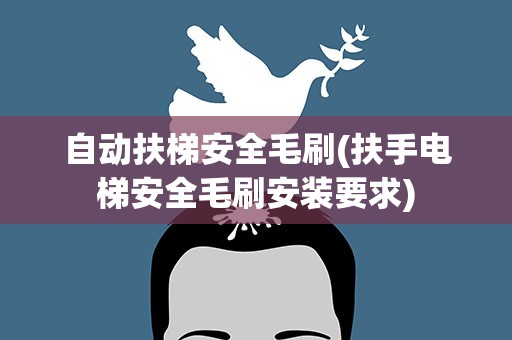 自动扶梯安全毛刷(扶手电梯安全毛刷安装要求)