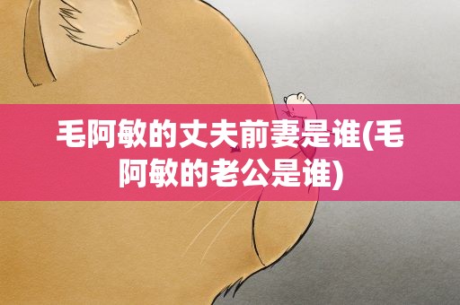 毛阿敏的丈夫前妻是谁(毛阿敏的老公是谁)
