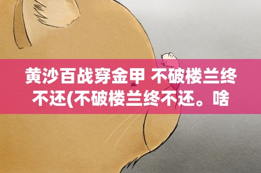 黄沙百战穿金甲 不破楼兰终不还(不破楼兰终不还。啥意思)