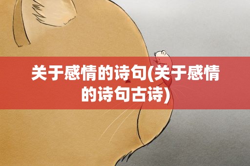 关于感情的诗句(关于感情的诗句古诗)