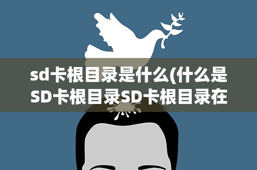 sd卡根目录是什么(什么是SD卡根目录SD卡根目录在哪)