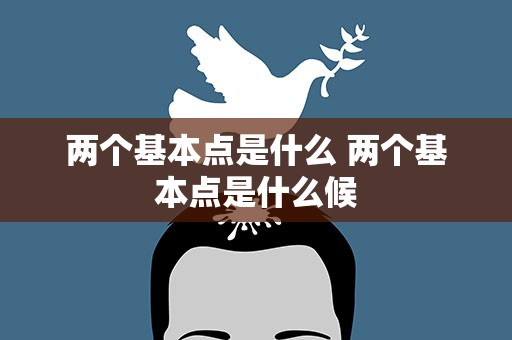 两个基本点是什么 两个基本点是什么候