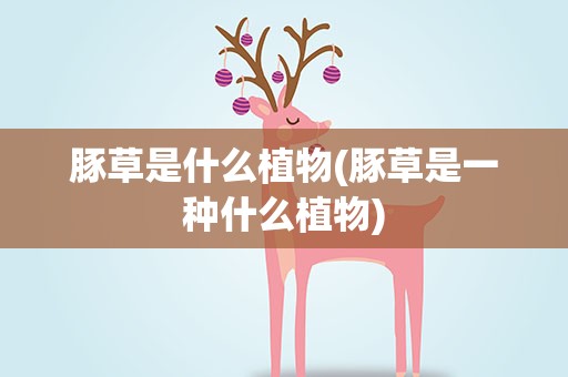 豚草是什么植物(豚草是一种什么植物)