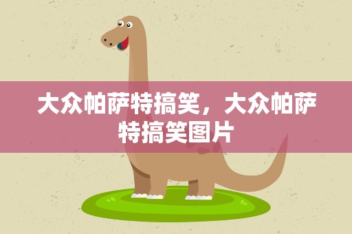 大众帕萨特搞笑，大众帕萨特搞笑图片