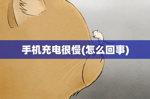 手机充电很慢(怎么回事)