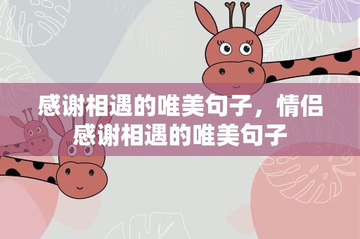 感谢相遇的唯美句子，情侣感谢相遇的唯美句子