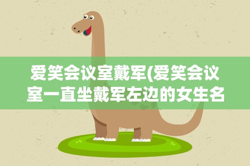 爱笑会议室戴军(爱笑会议室一直坐戴军左边的女生名字是)