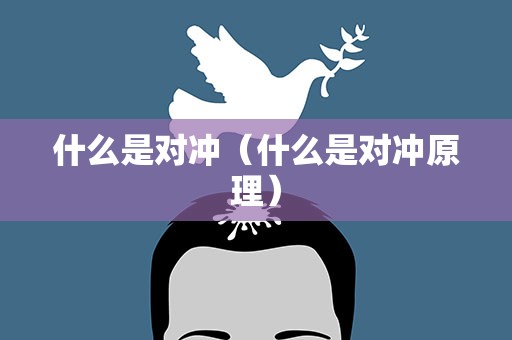 什么是对冲（什么是对冲原理）