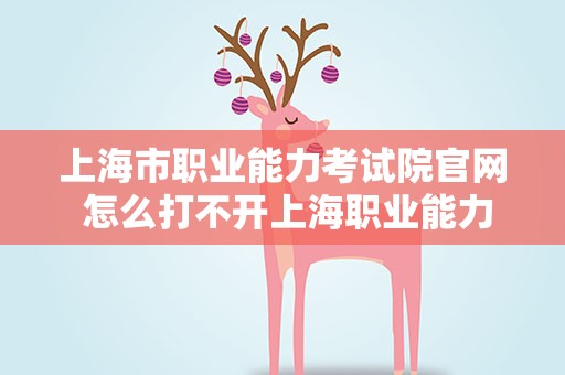 上海市职业能力考试院官网 怎么打不开上海职业能力考试院的网页啊