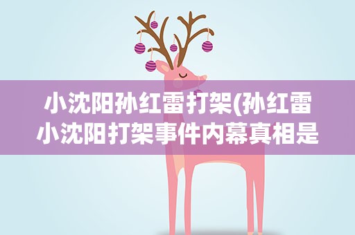 小沈阳孙红雷打架(孙红雷小沈阳打架事件内幕真相是怎样的)