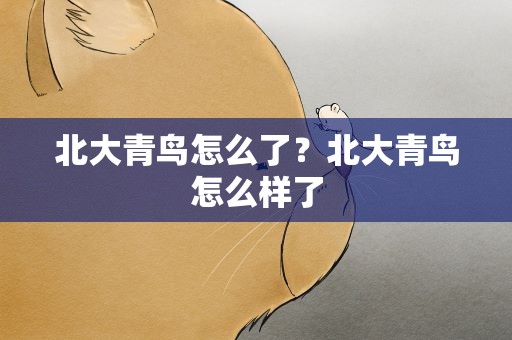 北大青鸟怎么了？北大青鸟怎么样了