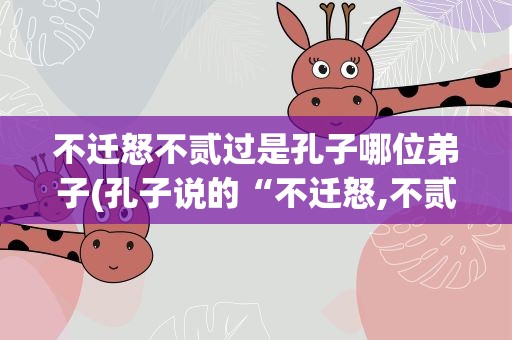 不迁怒不贰过是孔子哪位弟子(孔子说的“不迁怒,不贰过”,是指哪个弟子)