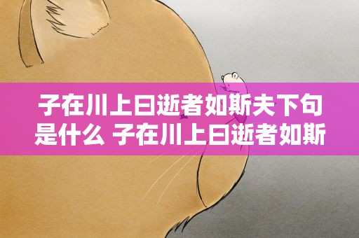 子在川上曰逝者如斯夫下句是什么 子在川上曰逝者如斯夫下一句是什么