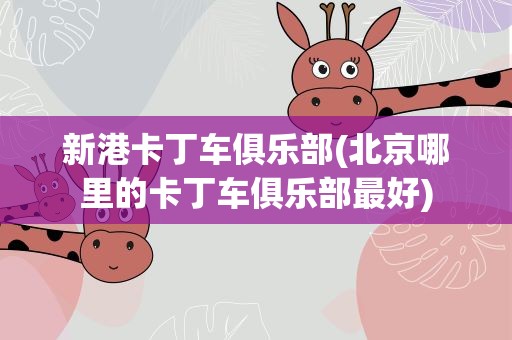 新港卡丁车俱乐部(北京哪里的卡丁车俱乐部最好)