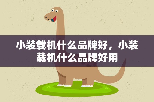 小装载机什么品牌好，小装载机什么品牌好用