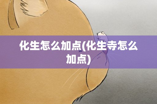 化生怎么加点(化生寺怎么加点)