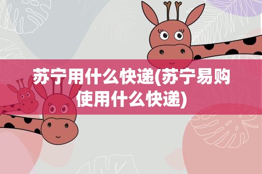 苏宁用什么快递(苏宁易购使用什么快递)