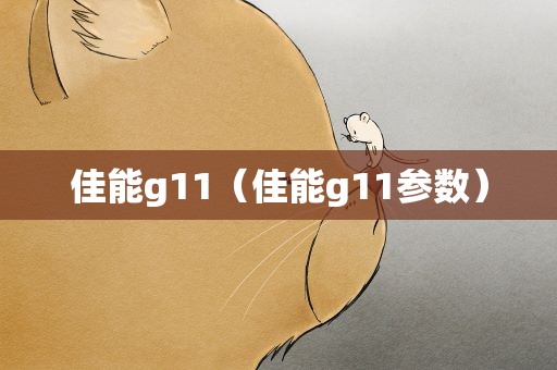 佳能g11（佳能g11参数）