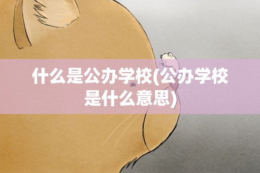 什么是公办学校(公办学校是什么意思)