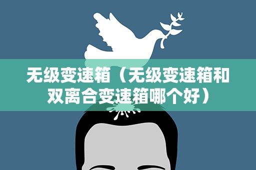 无级变速箱（无级变速箱和双离合变速箱哪个好）