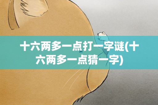 十六两多一点打一字谜(十六两多一点猜一字)