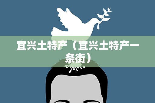 宜兴土特产（宜兴土特产一条街）