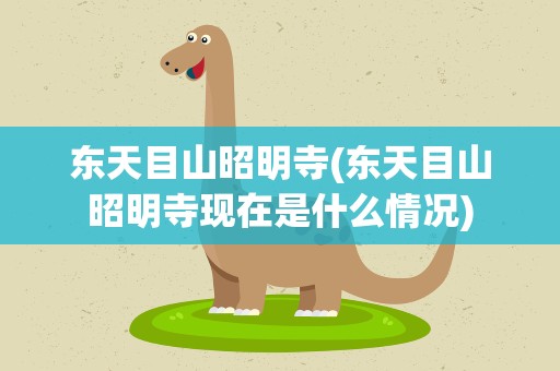 东天目山昭明寺(东天目山昭明寺现在是什么情况)