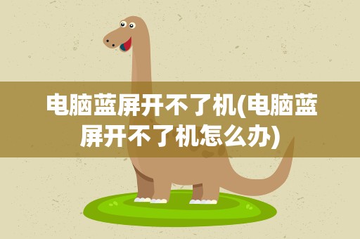 电脑蓝屏开不了机(电脑蓝屏开不了机怎么办)