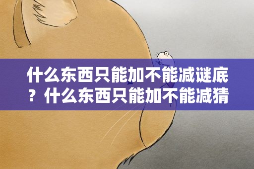 什么东西只能加不能减谜底？什么东西只能加不能减猜谜语