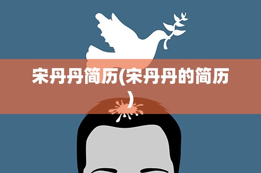 宋丹丹简历(宋丹丹的简历)