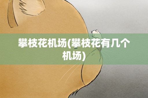 攀枝花机场(攀枝花有几个机场)