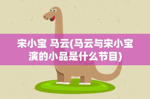 宋小宝 马云(马云与宋小宝演的小品是什么节目)