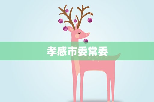 孝感市委常委