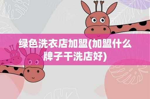 绿色洗衣店加盟(加盟什么牌子干洗店好)