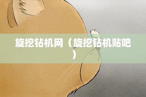 旋挖钻机网（旋挖钻机贴吧）