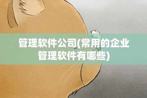 管理软件公司(常用的企业管理软件有哪些)