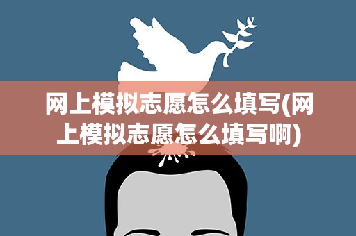 网上模拟志愿怎么填写(网上模拟志愿怎么填写啊)
