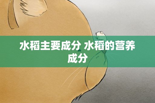 水稻主要成分 水稻的营养成分